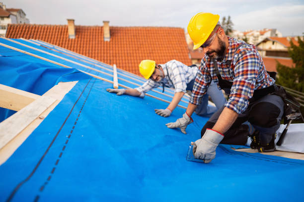 Best Storm Damage Roof Repair  in Central, TN