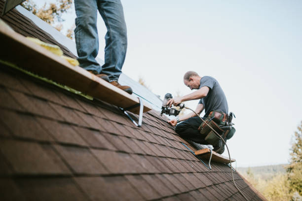 Best Gutter Installation and Roofing  in Central, TN